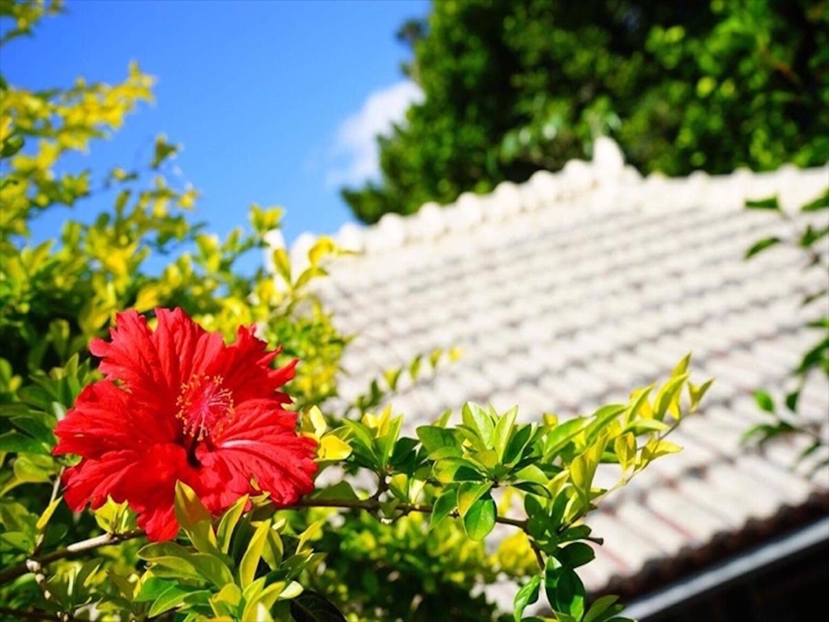 Ishigaki Guesthouse Hive Exterior foto